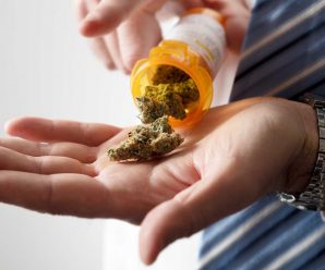 What can The Best Online Headshop Offer You