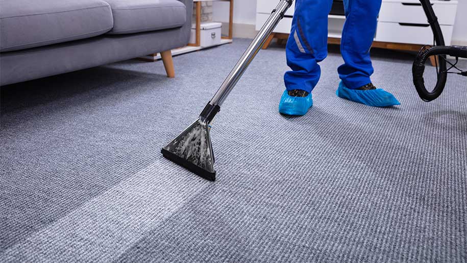How are professional carpet cleaning services a necessity?