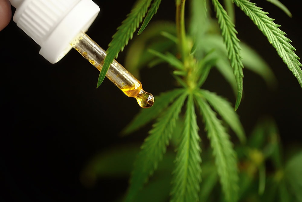 Best CBD Oil For Fast Relief From Pains and advantages